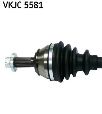 Cardã SKF VKJC 5581